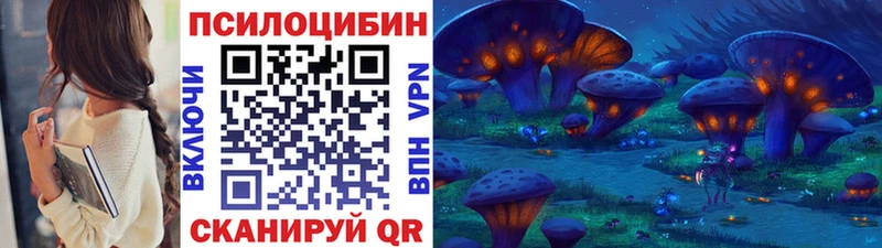 Купить где  Бавлы  Псилоцибиновые грибы GOLDEN TEACHER 